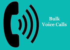 Bulk Voice Call
